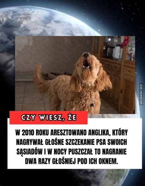 zemsta po angielsku